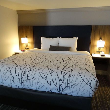 Best Western Premier Denver East Værelse billede