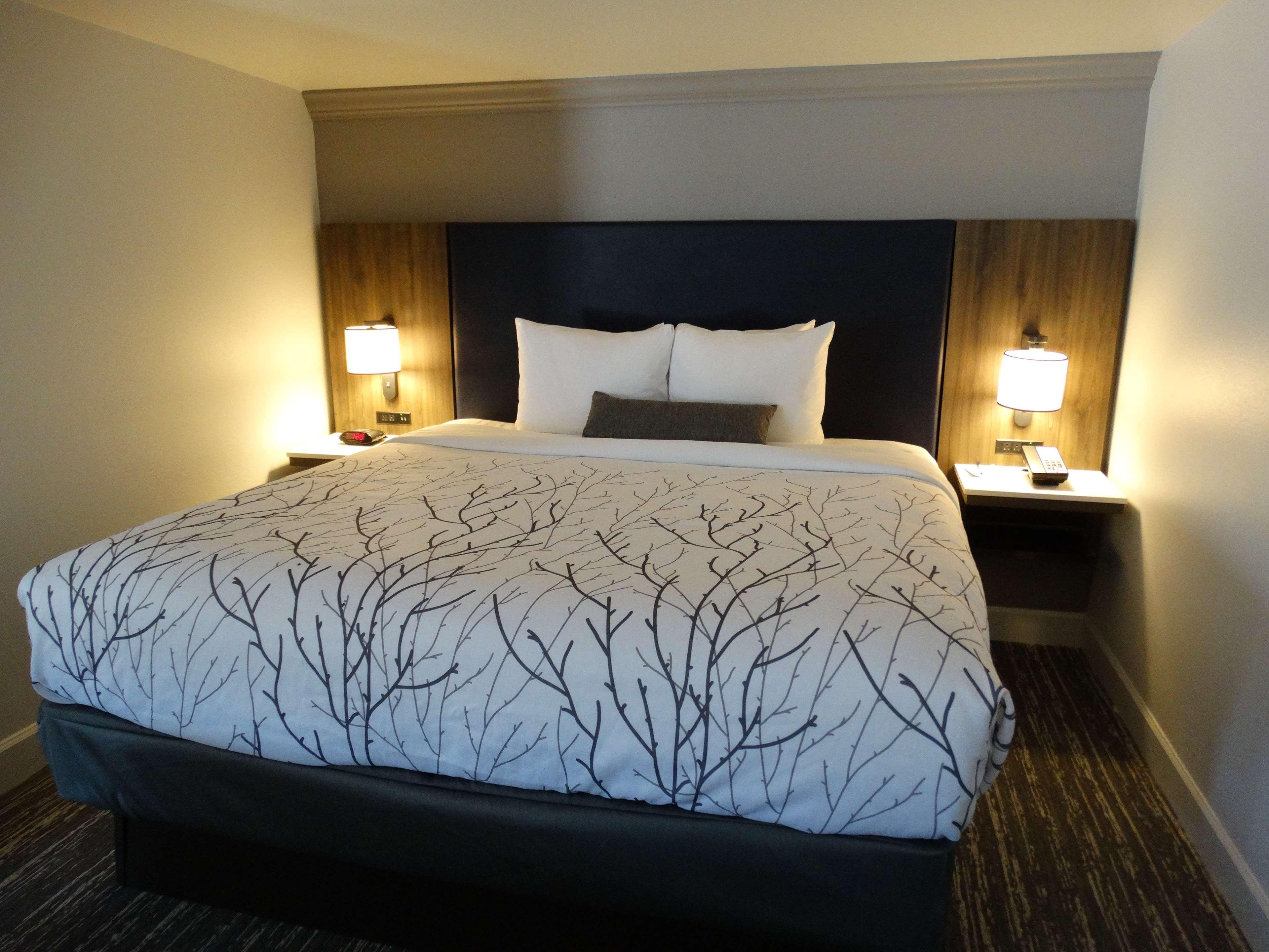 Best Western Premier Denver East Værelse billede